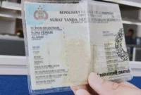 Pemilik Kendaraan Wajib Tahu! 5 Provinsi Ini Menggelar Pemutihan Pajak Kendaraan Juni 2026. (Foto: IST/pajak)
