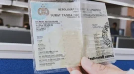 Pemilik Kendaraan Wajib Tahu! 5 Provinsi Ini Menggelar Pemutihan Pajak Kendaraan Juni 2026. (Foto: IST/pajak)