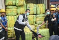 Bea Cukai Sita 43 Kontainer Pakaian Bekas Impor Ilegal di Tanjung Priok, Nilainya Tembus Rp37,5 Miliar. (Foto: ANTARA FOTO/Sulthony Hasanuddin/tom/suara)
