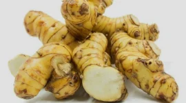 Ternyata Kencur Tak Hanya untuk Jamu, Khasiatnya Bisa Bantu Turunkan Kolesterol dan Jaga Pencernaan. (Foto: naturalfarm)