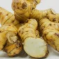 Ternyata Kencur Tak Hanya untuk Jamu, Khasiatnya Bisa Bantu Turunkan Kolesterol dan Jaga Pencernaan. (Foto: naturalfarm)