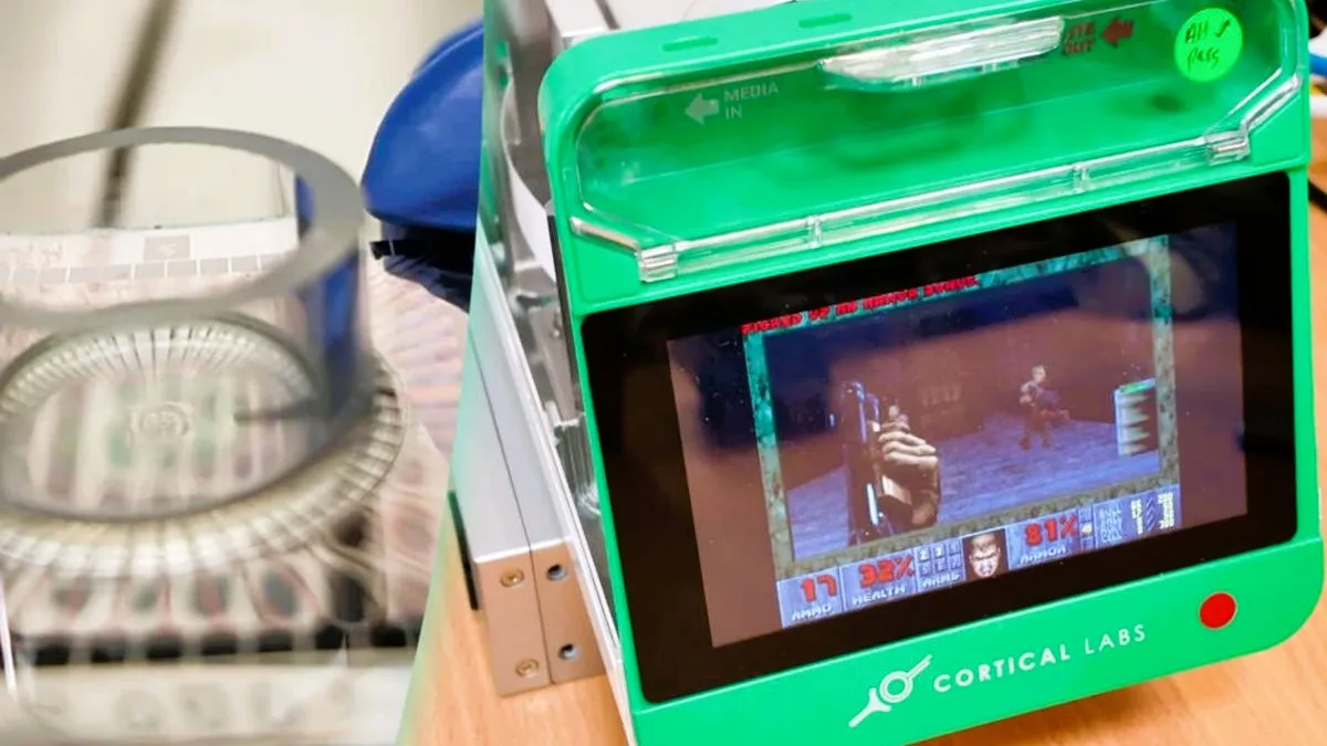  Sel Otak Manusia Dilatih Ilmuwan Untuk Bisa Bermain Game Doom di Dalam Chip Komputer. (Foto: Cortical Labs/kompas)