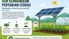 UGM Kembangkan Pertanian Cerdas Berbasis IoT dan Panel Surya. (Foto: AI)