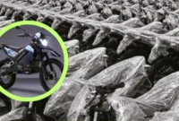 BGN Pastikan Aset MBG Yang Terlanjur Dibeli Tetap Akan Dipergunakan. (Foto: selingkarwilis)