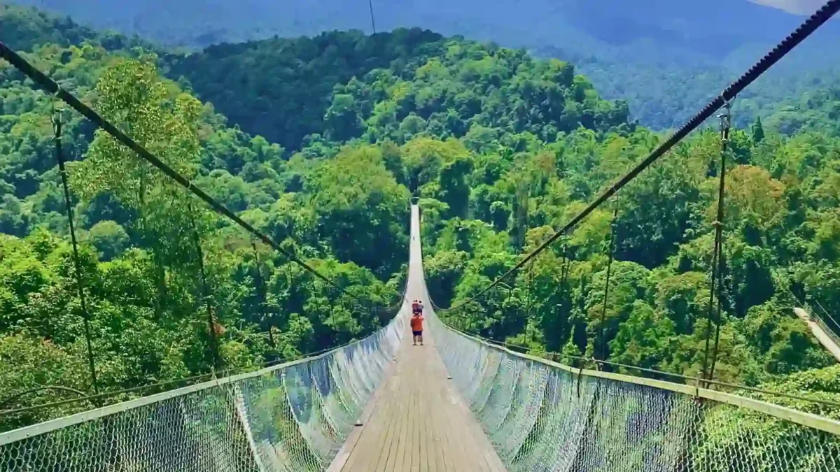 Menantang Adrenalin! Jembatan Gantung Situ Gunung Tawarkan Sensasi Berjalan di Atas Hutan. (Foto: Hypeabis.id/Kintan Nabila)