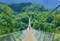 Menantang Adrenalin! Jembatan Gantung Situ Gunung Tawarkan Sensasi Berjalan di Atas Hutan. (Foto: Hypeabis.id/Kintan Nabila)