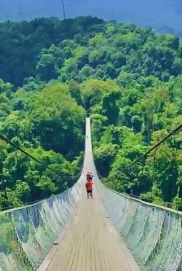 Menantang Adrenalin! Jembatan Gantung Situ Gunung Tawarkan Sensasi Berjalan di Atas Hutan