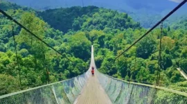 Menantang Adrenalin! Jembatan Gantung Situ Gunung Tawarkan Sensasi Berjalan di Atas Hutan. (Foto: Hypeabis.id/Kintan Nabila)
