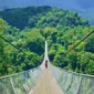 Menantang Adrenalin! Jembatan Gantung Situ Gunung Tawarkan Sensasi Berjalan di Atas Hutan. (Foto: Hypeabis.id/Kintan Nabila)
