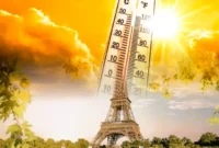 Gelombang Panas Ekstrem Landa Eropa, Hampir 200 Juta Warga Terancam Suhu 35 Derajat Celsius. (Foto Ilustrasi: Moisescu Florentinas & Xuron)