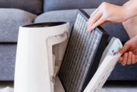 Udara Rumah Tetap Berdebu Meski Pakai Air Purifier? Ini Penyebabnya. (Foto: SHUTTERSTOCK/DG FOTOSTOCK/kompas)