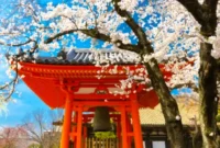 Pulang dari Jepang Mulai 1 Juli 2026 Kena Pajak Rp332 Ribu. (Foto: tripzilla)