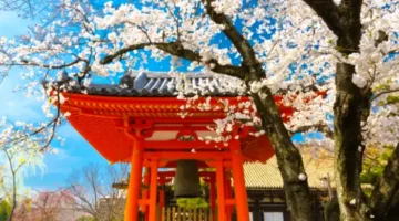 Pulang dari Jepang Mulai 1 Juli 2026 Kena Pajak Rp332 Ribu. (Foto: tripzilla)