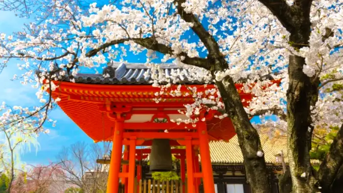 Pulang dari Jepang Mulai 1 Juli 2026 Kena Pajak Rp332 Ribu. (Foto: tripzilla)