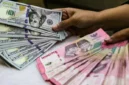 Mulai 1 Juli 2026, BI Pangkas Batas Beli Dolar AS Jadi US$10.000 per Bulan. (Foto: ANTARA/Darryl Ramadhan/investor)