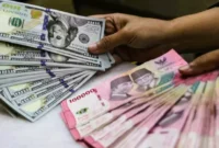Mulai 1 Juli 2026, BI Pangkas Batas Beli Dolar AS Jadi US$10.000 per Bulan. (Foto: ANTARA/Darryl Ramadhan/investor)