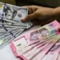 Mulai 1 Juli 2026, BI Pangkas Batas Beli Dolar AS Jadi US$10.000 per Bulan. (Foto: ANTARA/Darryl Ramadhan/investor)