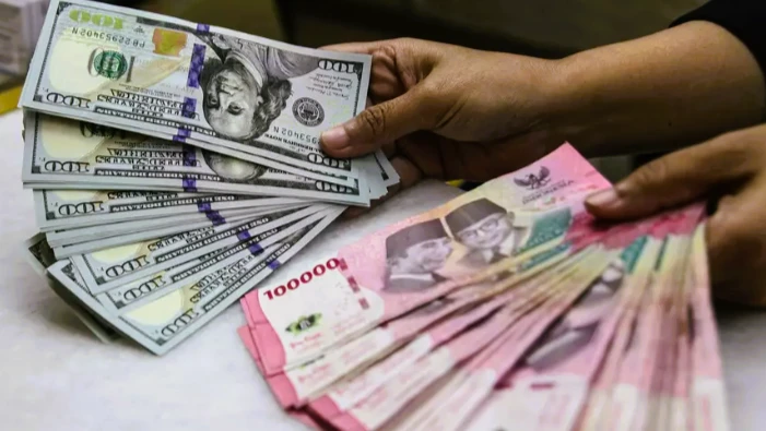 Mulai 1 Juli 2026, BI Pangkas Batas Beli Dolar AS Jadi US$10.000 per Bulan. (Foto: ANTARA/Darryl Ramadhan/investor)