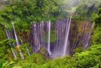 8 Air Terjun Terindah di Indonesia yang Wajib Masuk Daftar Liburan. (Foto: wikipedia)