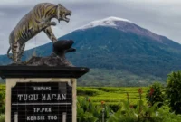 Gunung Kerinci. (Foto: klik24.news)
