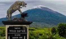Gunung Kerinci Kian Ramai, Ratusan Pendaki Padati Atap Sumatera Sepanjang Mei 2026