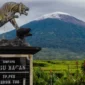 Gunung Kerinci. (Foto: klik24.news)