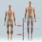 Operasi Tulang Kaki di Turki demi Menambah dan Mengurangi Tinggi Badan Kian Diminati, Ketahui Prosedur dan Risikonya. (Foto: cureindia)