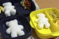 Viral Menu MBG di Kerinci Jadi Sorotan, SPPG Tegaskan Foto Viral Merupakan Menu Balita, Bukan Siswa. (Foto: malalaipos)