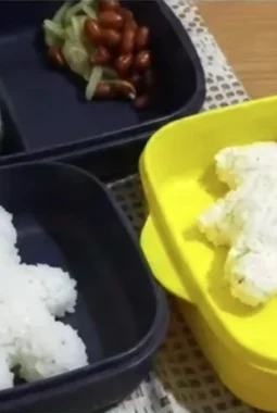 Viral Menu MBG di Kerinci Jadi Sorotan, SPPG Tegaskan Foto Viral Merupakan Menu Balita, Bukan Siswa