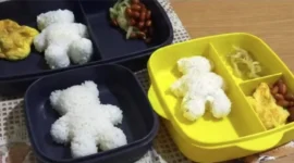 Viral Menu MBG di Kerinci Jadi Sorotan, SPPG Tegaskan Foto Viral Merupakan Menu Balita, Bukan Siswa. (Foto: malalaipos)