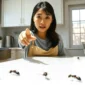 Semut Sering Datang ke Dapur? Coba 5 Cara Mudah Ini agar Rumah Tetap Bebas Semut. (Foto Ilustrasi: liputan6)  