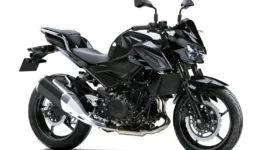 Kawasaki Z250 2026 Resmi Meluncur, Motor Naked Sport Bermesin 248 cc Dijual Rp77 Jutaan. (Foto: Kawasaki/posaceh)