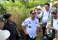 Bupati Monadi Tinjau Cetak Sawah Rakyat di Lempur Hilir, Kerinci Kejar Target Surplus Beras. (Foto: explorenews)