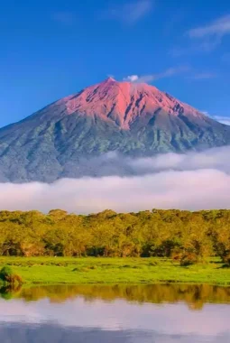 Mau Mendaki Gunung Kerinci? Simak Cara Daftar Online, Tarif, dan Aturan Pendakian Terbarunya