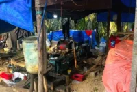 Enam Pelaku Tambang Emas Ilegal di Bungo Ditangkap Polisi, Sejumlah Peralatan Diamankan. (Foto: Dok. Polres Bungo/detik)