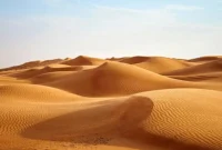 Arab Saudi Impor Pasir dari Luar, Padahal Punya Gurun yang Sangat Luas. (Foto: iStockphoto/Panso/kompas)
