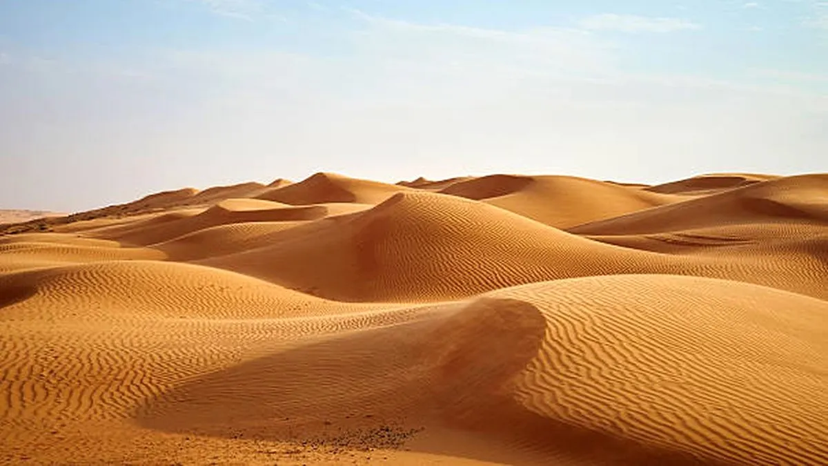Arab Saudi Impor Pasir dari Luar, Padahal Punya Gurun yang Sangat Luas. (Foto: iStockphoto/Panso/kompas)