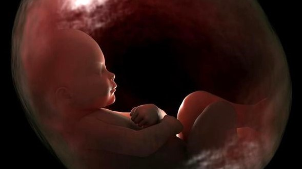Ibu Menguap, Janin Ikut Menguap? Riset Ungkap Respons dari Dalam Kandungan. (Foto: iStock/haibunda)