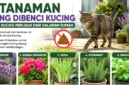 Kucing Sering Buang Kotoran di Halaman? Tanam 5 Tanaman Ini agar Menjauh. (Foto: AI)