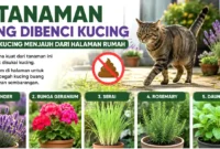 Kucing Sering Buang Kotoran di Halaman? Tanam 5 Tanaman Ini agar Menjauh. (Foto: AI)