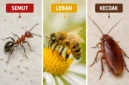 Belajar dari Semut, Lebah, dan Kecoak, Begini Cara Mereka Mengambil Keputusan. (Foto: AI)