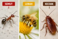 Belajar dari Semut, Lebah, dan Kecoak, Begini Cara Mereka Mengambil Keputusan. (Foto: AI)