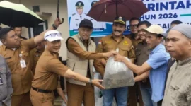 Dorong Budidaya Ikan, Pemprov Jambi Salurkan 12 Ribu Benih Nila Hitam di Sungai Penuh. (Foto: sungaipenuhkota)