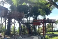 Depati Tujuh Coffee, Sensasi Ngopi di Atas Bukit dengan Panorama Pegunungan. (Foto: Dewi Wilona-JambiTV)