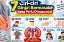 Ciri-ciri Ginjal Bermasalah yang Perlu Diwaspadai, dari Urine Berubah hingga Kaki Bengkak. (Gambar: Ilustrasi AI)