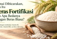 Ramai Dibicarakan, Apa Itu Beras Fortifikasi dan Apa Bedanya dengan Beras Biasa? (Gambar: Ilustrasi AI)