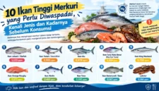 10 Ikan Tinggi Merkuri yang Perlu Diwaspadai, Kenali Jenis dan Kadarnya Sebelum Konsumsi. (Gambar: Ilustrasi AI)