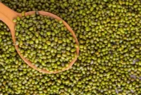 Cara Merendam Kacang Hijau agar Cepat Empuk, Matang Merata, dan Tetap Utuh Saat Dimasak. (Foto: rsmmbogor)