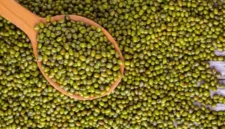 Cara Merendam Kacang Hijau agar Cepat Empuk, Matang Merata, dan Tetap Utuh Saat Dimasak. (Foto: rsmmbogor)