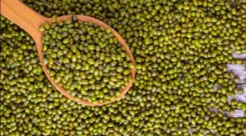 Cara Merendam Kacang Hijau agar Cepat Empuk, Matang Merata, dan Tetap Utuh Saat Dimasak. (Foto: rsmmbogor)